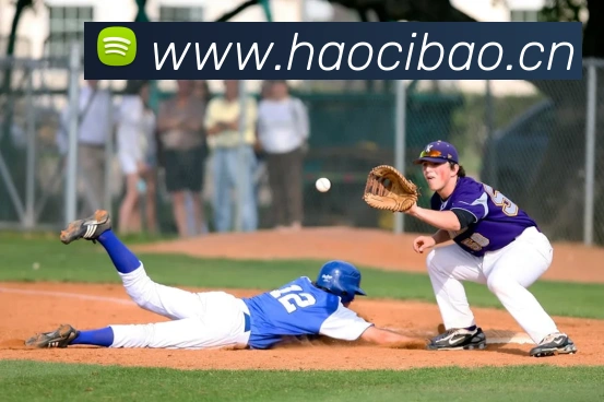 乐竞体育官方平台生态图